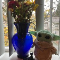 Yoda’sLicoriceTea (@slicoricetea) 's Twitter Profile
