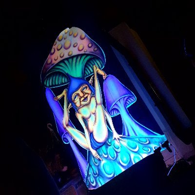 MrPKcom's profile picture. 