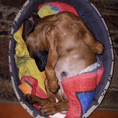 Sawek47043089's profile picture. Stary Człowiek i Morze, pełna i przykładna prawica, Bóg, Honor, Ojczyzna, Rodzina, awersja do koloru czerwonego i liberalnych poglądów.