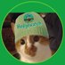 Tommy Blind Cat (@blind_tommy) Twitter profile photo