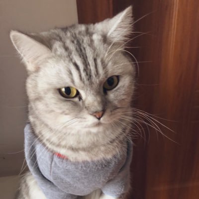 ruanyy95's profile picture. 