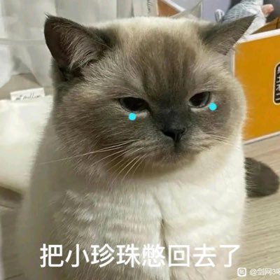CrazyPawさんのプロフィール画像