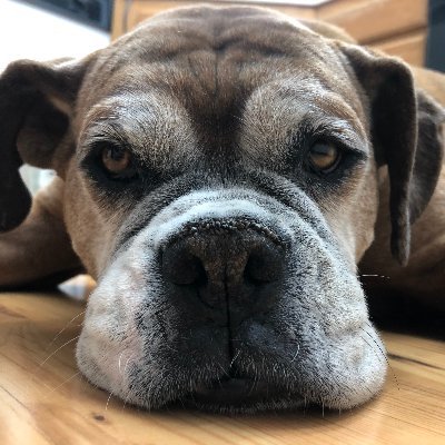ksinger's profile picture. clearly vague and positively negative