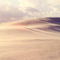 Isabella William (@akiralamdv) 's Twitter Profile