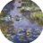 _TLoughty's profile image