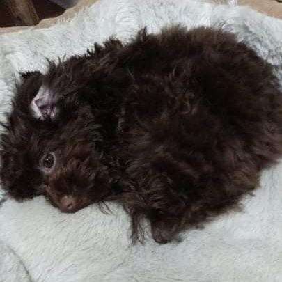 _spambot247's profile picture. 