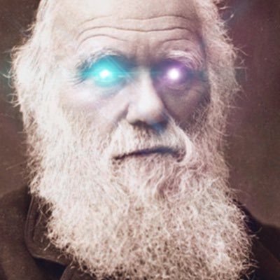 darwinmaxibtc's profile picture. Bitcoin is Freedom. Silence is Bliss. TM
