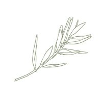 별의 정원 Garden of Estelle (@byorvina_shop) 's Twitter Profile Photo