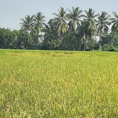 indrapharma's profile picture. Responsible Indian citizen, Social activist,  Pharmaceutical professional