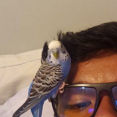 lgtech400's profile picture. caca