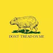 Libertario Minarquista. En contra del estatismo. En contra del