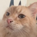 Athena Bell - @AthenaB82116820 - Twitter