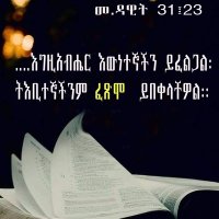 Mulugeta (@muluget83256316) 's Twitter Profile