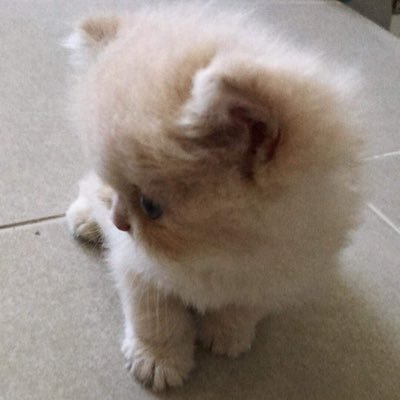 Naynay18_'s profile picture. 27y | INTJ | introvert | investment | thailand🇹🇭 | passion | digital | crypto