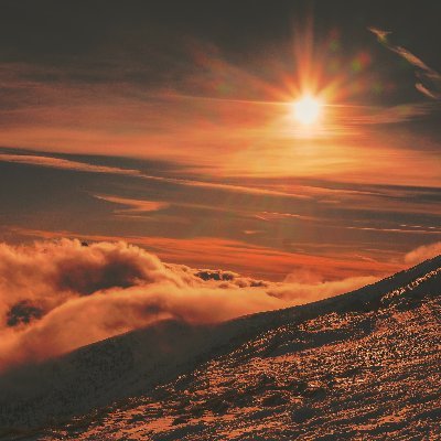 Whitepoppy000's profile picture. 개인공간