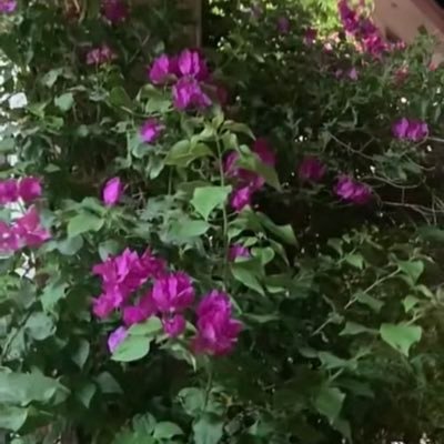N3Lwi's profile picture. 