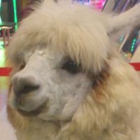 りめんば(キラキラパワー) (@xrememberx) Twitter profile photo