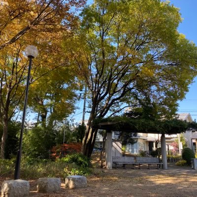 furuya71110427's profile picture. 