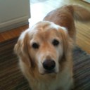 Evan Spear - @evdog13521 - Twitter