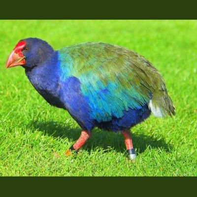 jaybee404's profile picture. Nurse and Mother of two.