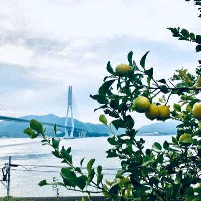 LSetouchi's profile picture. umikaは、「ローカルを地域価値にする」をヴィジョンとしたクリエイティブチームです。シェアキッチン「Little Setouchi」や草木染めブランド「BOTANICAL DENIM」などを主催。
