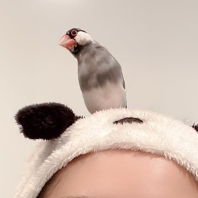 炭酸水o( `ω´ )oLUCA POG DAY💛さんのプロフィール画像