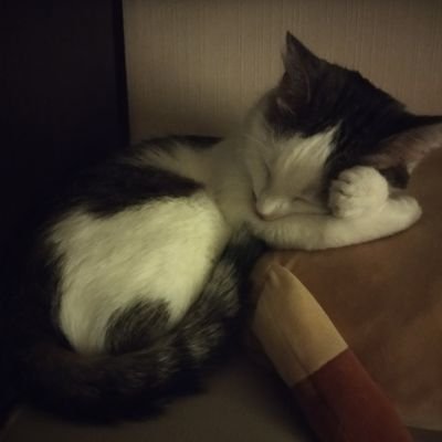 IMashtak's profile picture.