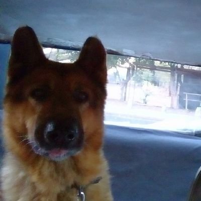 Detesto al partido nacional por si sos cacho y le das like a mis comentarios o me diste seguir.