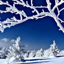 Catherine Ferrand - @CathyCath202829 - Twitter