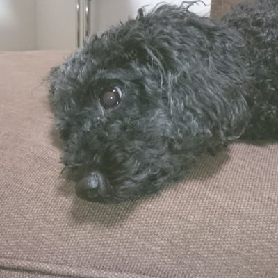 OVgHDMAP9ZVXTG8's profile picture. 