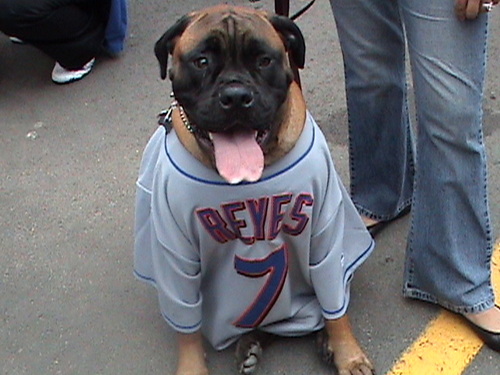 baysidebillyd's profile picture. 