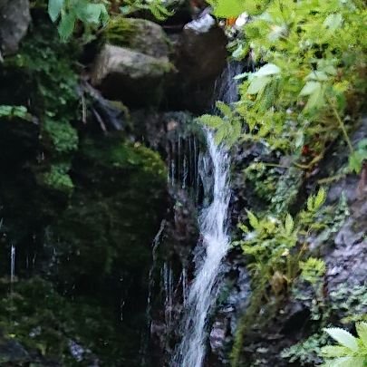 AinSateraito's profile picture. 