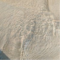 毛健 (@maojian41185539) Twitter profile photo