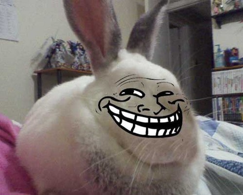 Mr_Nyo's profile picture. Website admin, Math Tutor, Librarian Clerk, Lab Technician, among other things :v