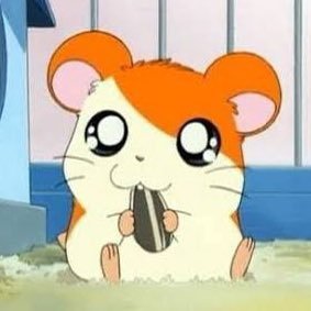 hillary_k86's profile picture. 明日なにを食べるか考えて生きた方がいい