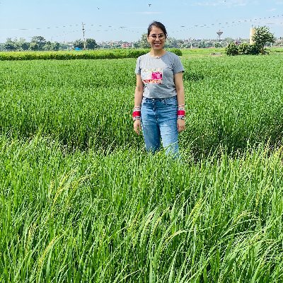 PhD scholar, Indian Agricultural Research Institute, New Delhi; Curious and diligent microbiologist working on rice microbiome...
why and how things happen?