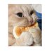 L (@laksmii_) Twitter profile photo L (@laksmii_) Twitter profile photo