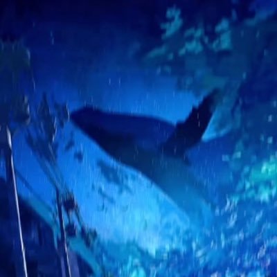 HAKUJIsab's profile picture. 