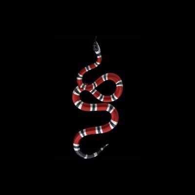 lBxHrsxDBsPDFcG's profile picture. 