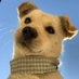 Ansel Benedict (@h1851243) Twitter profile photo Ansel Benedict (@h1851243) Twitter profile photo