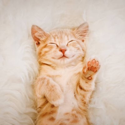 ihtarek101's profile picture. 