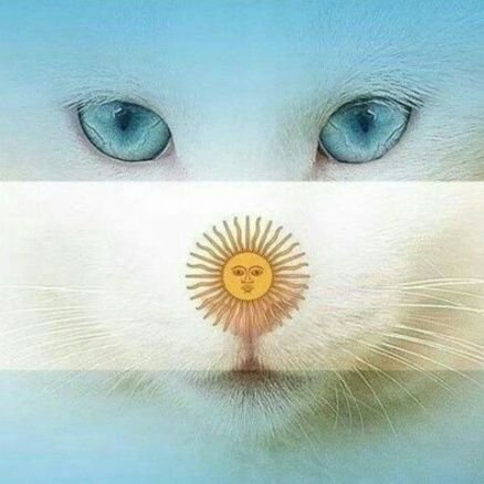 antoniojcossara's profile picture. 