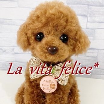 felice7handmade's profile picture. フェイクスイーツ、ミニチュアフード、ビーズアクセサリー、トイプードルのぬいぐるみ、などを制作しています。ブログでは制作過程を気ままにご紹介☕️「見ているだけで ちょっぴり幸せな気持ちになるような作品を目指し 日々励んでいます♪」😊