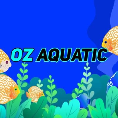 Oz_Aquatic's profile picture. Discus Fish Addict, Aquatic, Aquascape & Videography