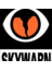 HenryCoSkywarn's profile image