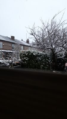 Mohamme21595442's profile picture. 