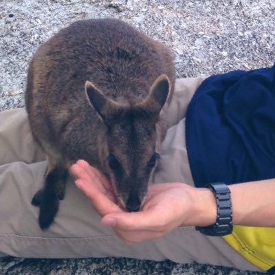 tadtantanpalace's profile picture. 書籍、食、パン、映画、ドキュメンタリー、自然、旅、音楽/ 東大法学部←筑駒(平岡塾)/ 🐢