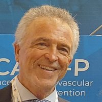 Francesco Fattirolli (@f_fattirolli) 's Twitter Profile