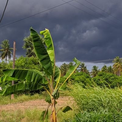 Venkatesanbe's profile picture. 