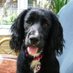 Sally P (@elsieclutterbuk) Twitter profile photo Sally P (@elsieclutterbuk) Twitter profile photo